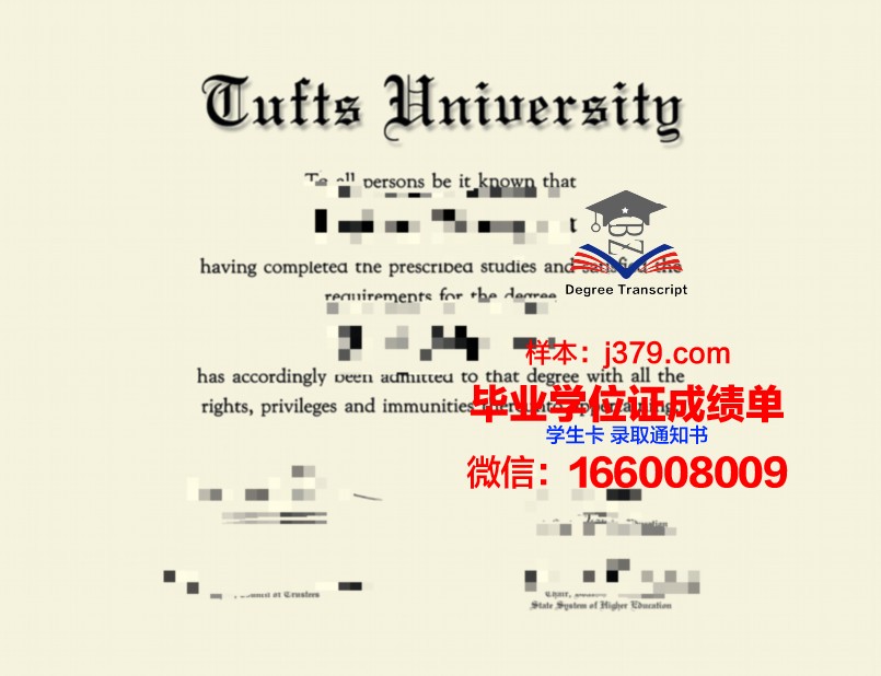 塔夫斯成绩单：探索教育评价的新视角