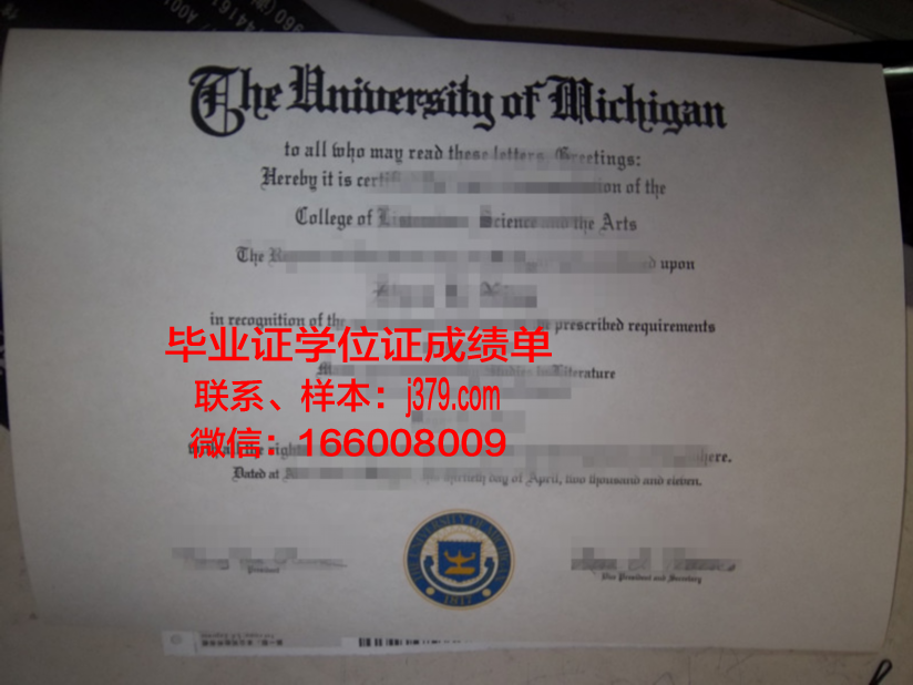 塞维大学毕业证定制:传承与创新的艺术结晶