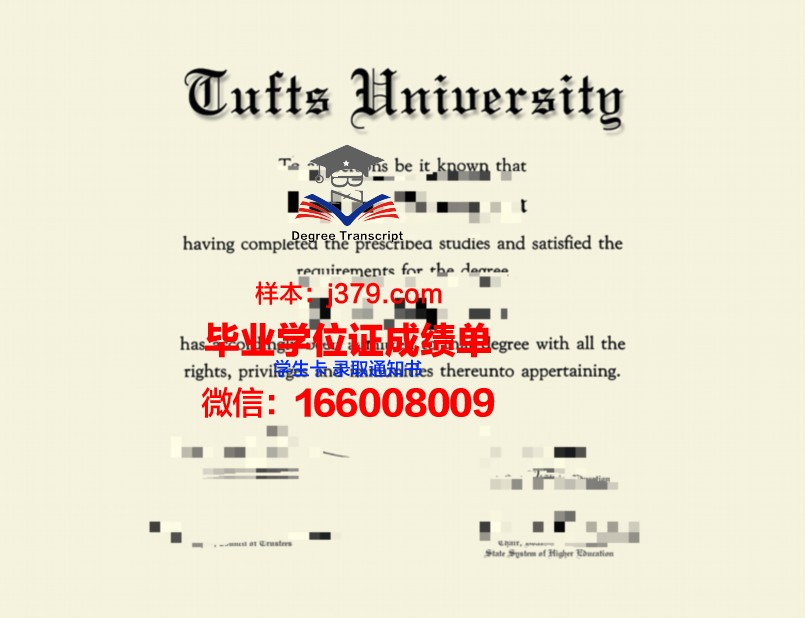 塔伊兹大学研究生毕业证书(塔夫斯大学毕业证)