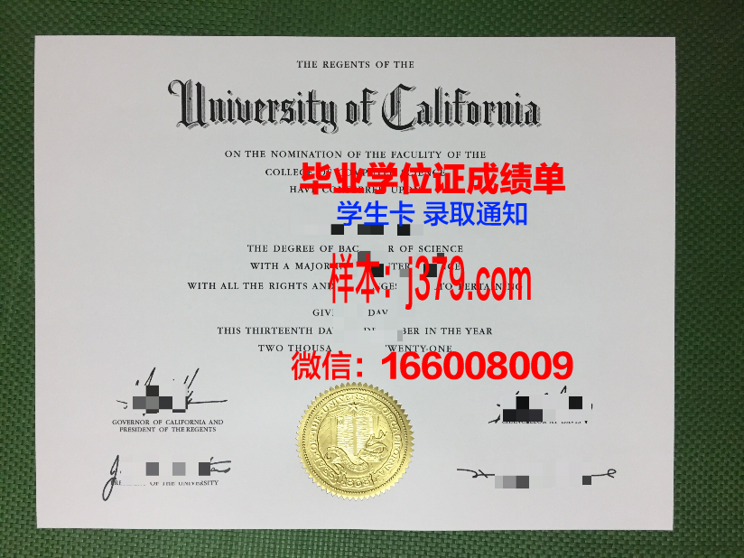 塔林大学毕业证模板(塔里木大学毕业证查询)