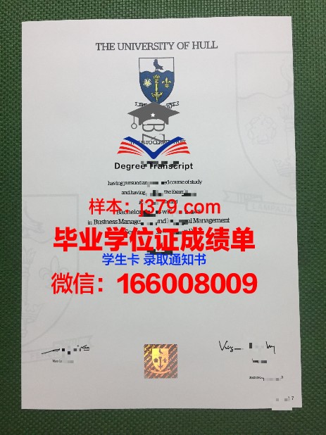 赫尔万大学学位成绩单定制：意义与影响