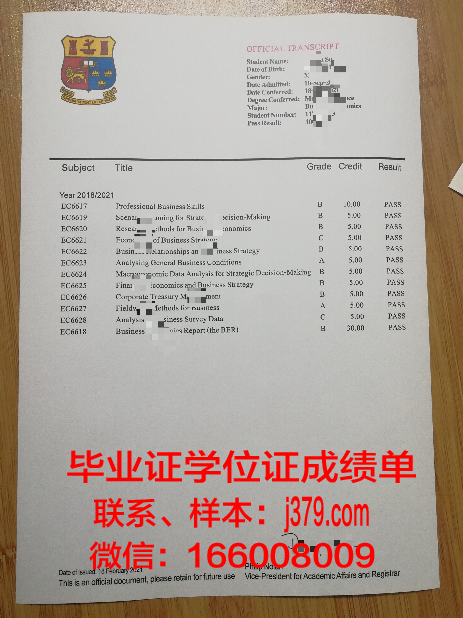 塔吉克斯坦国立商业大学硕士毕业证书样本(塔吉克斯坦国立文化艺术学网络新闻培训项目设计)