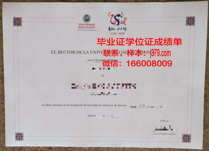 费撒巴拉政府大学学院毕业证样本(费萨拉巴德政府学院大学)