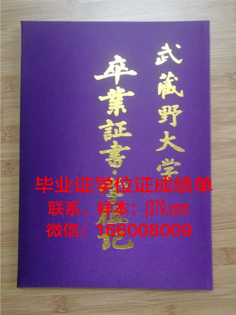 塔什干国立东方研究大学毕业证壳子