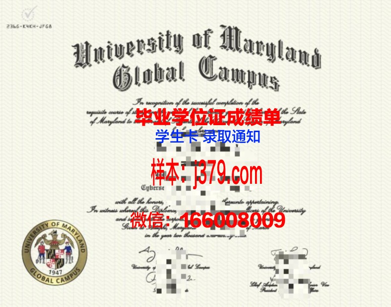 赛城大学校园卡(赛城大学校园卡补办流程)