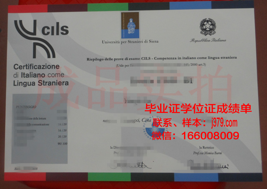 意大利锡耶纳外国人大学毕业证:跨文化交流的通行证