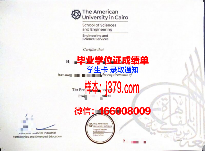 开罗大学博士毕业证:知识与荣耀的象征