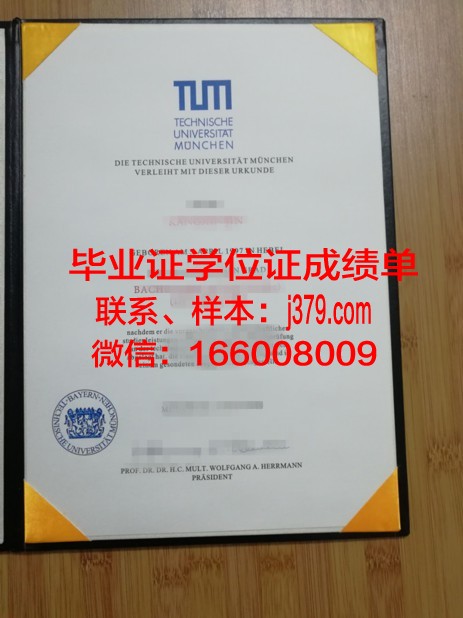 慕尼黑音乐和戏剧学院毕业证照片(慕尼黑音乐学院研究生招生简章)