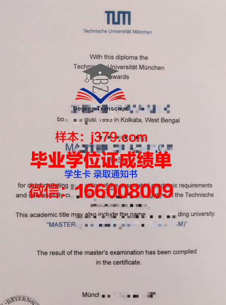 慕尼黑媒体学院毕业证书模板(慕尼黑大学媒体管理和数字技术)