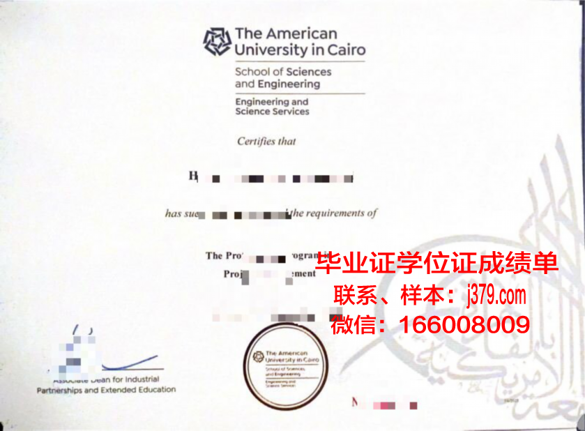 开罗大学毕业证是什么模样(开罗大学有什么专业)