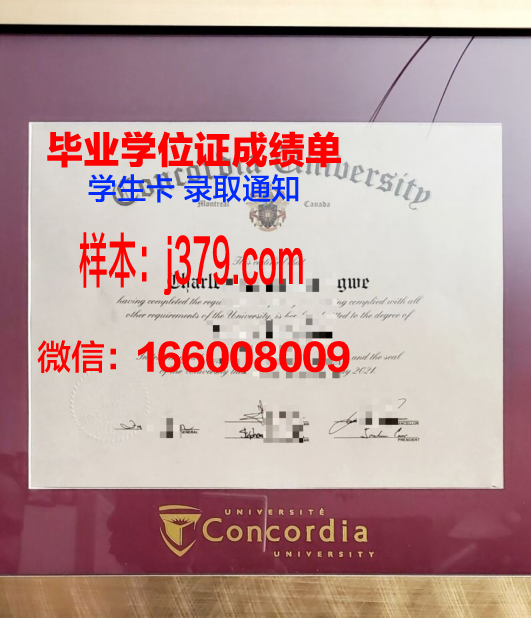 康迪亚成绩单：揭示教育改革成效的重要窗口