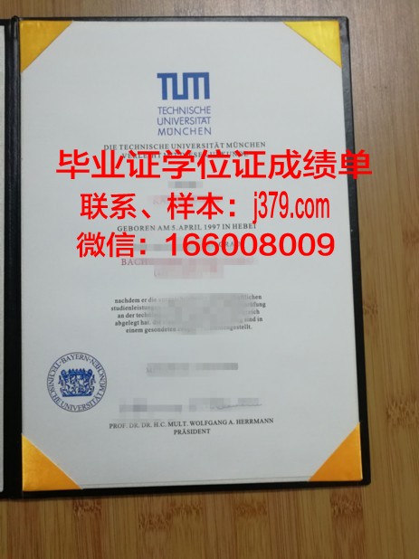 慕尼黑商学院毕业证长什么样(慕尼黑商学院怎么样)