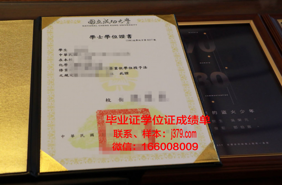 成功大学成绩单:解锁未来之路的金钥匙