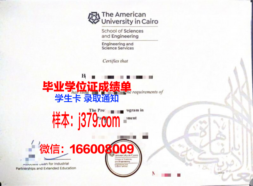 开罗大学硕士毕业证书样本(开罗大学硕士毕业证书样本图片)