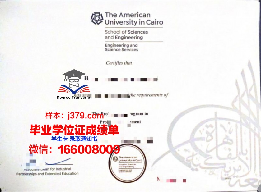 开罗大学diploma证书(开罗大学是名牌大学吗)
