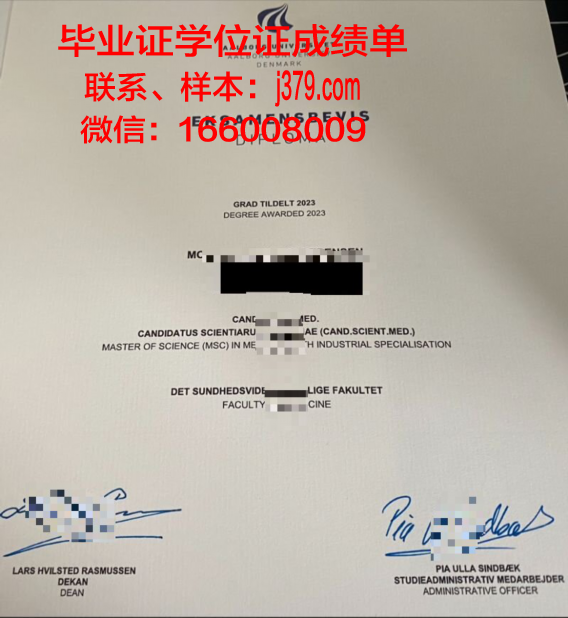 奥尔堡大学硕士毕业证:开启国际职场新篇章的钥匙