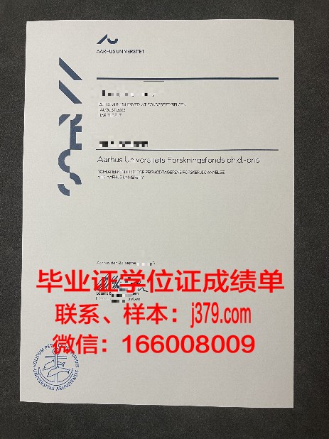 奥胡斯建筑学院学位成绩单定制:开启国际建筑教育新篇章