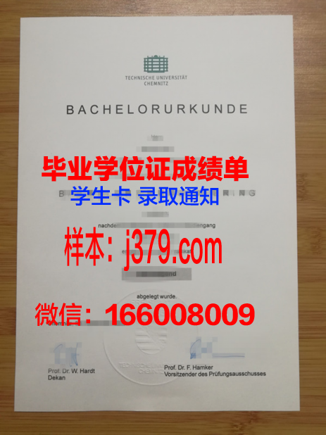 开姆尼茨工业大学毕业证翻译(开姆尼茨技术大学)