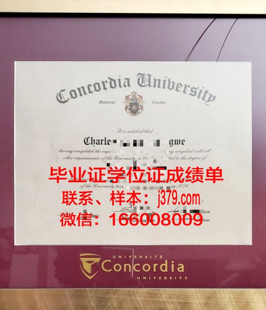 康考迪亚大学毕业证样本(康考迪亚大学录取条件)