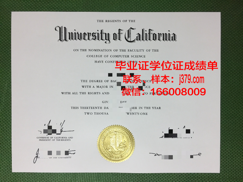 延雪平大学毕业证电子版