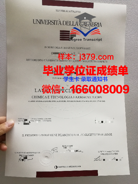意大利学位证书怎么申请(意大利毕业证和学位证是分开的吗)