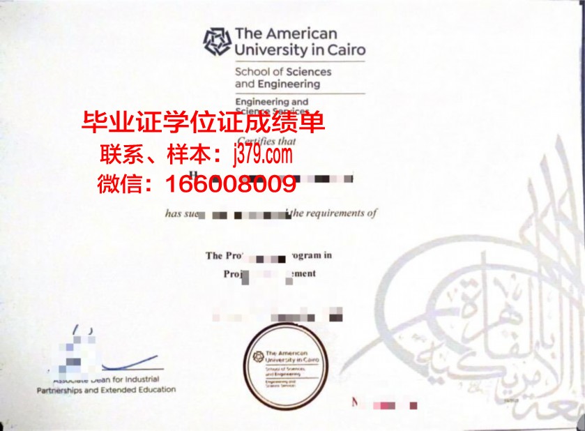 开罗大学毕业证翻译(开罗大学有什么专业)