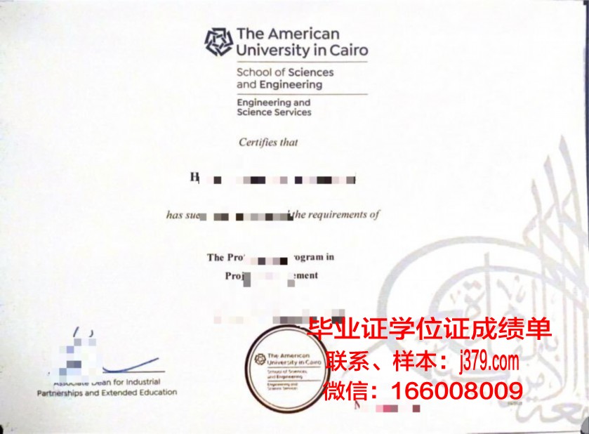 开罗大学拿不了毕业证(开罗大学拿不了毕业证吗)