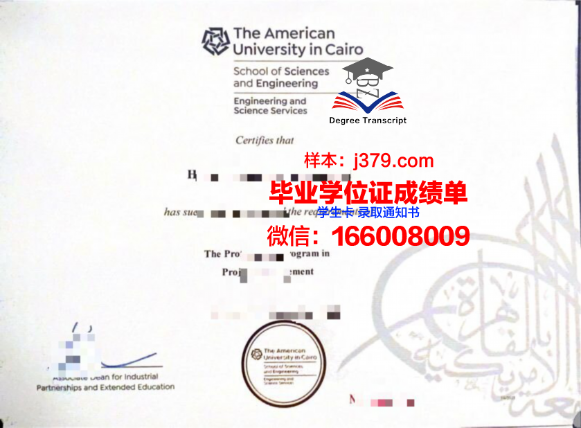 开罗成绩单:一张承载非洲希望的画卷