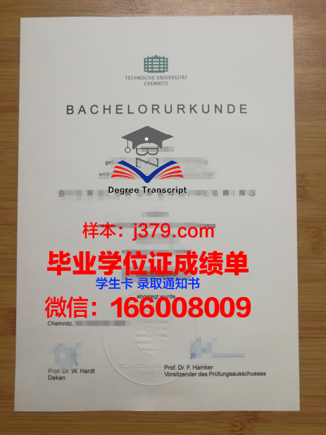 开姆尼茨工业大学成绩单:一份国际认可的学术证明