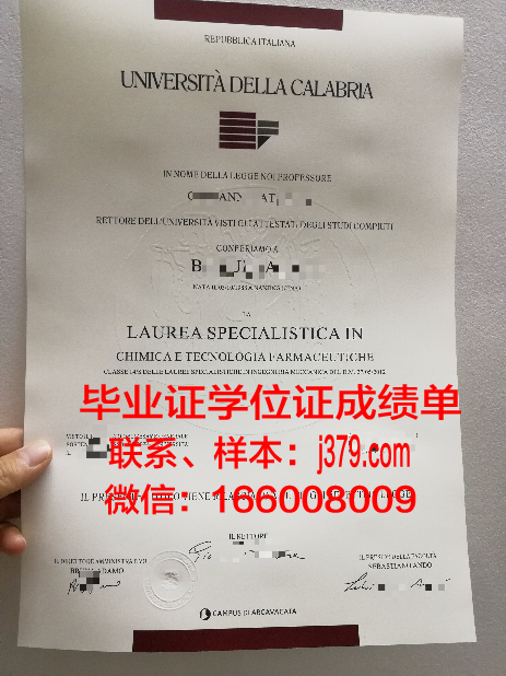 意大利毕业证书多久拿到(意大利毕业证等很久)
