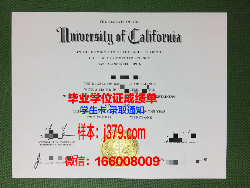 情大学毕业证:探索爱情教育的真谛