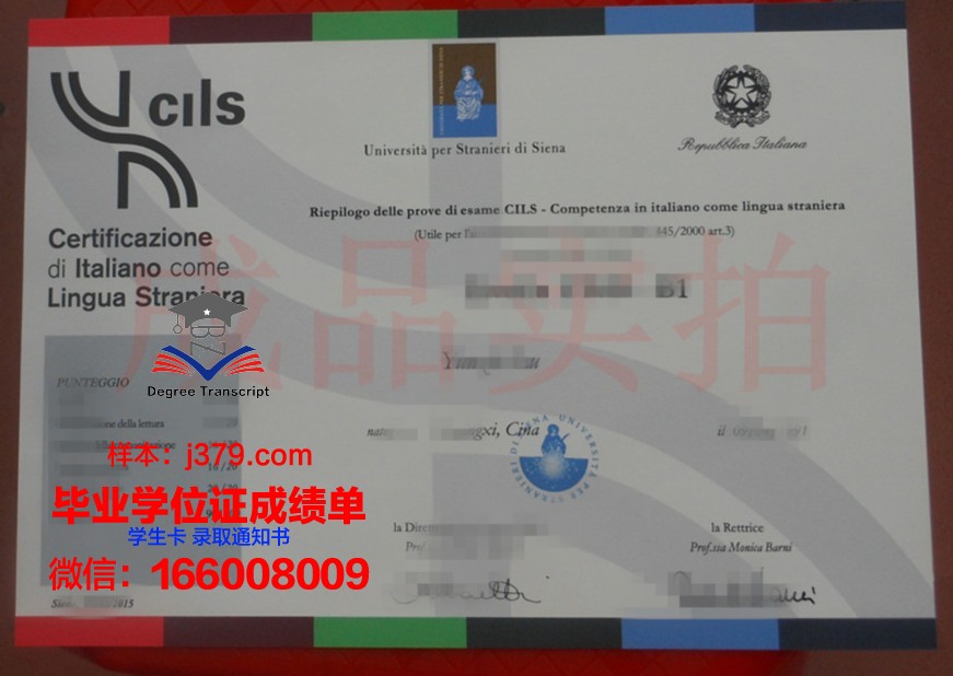 意大利锡耶纳外国人大学毕业证:跨文化交流的通行证