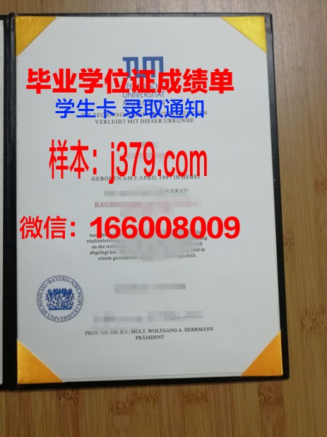 慕尼黑媒体学院学位成绩单定制:专业、严谨、可靠