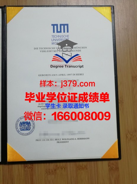 慕尼黑工业大学本科毕业证(慕尼黑工业大学硕士毕业率多高)