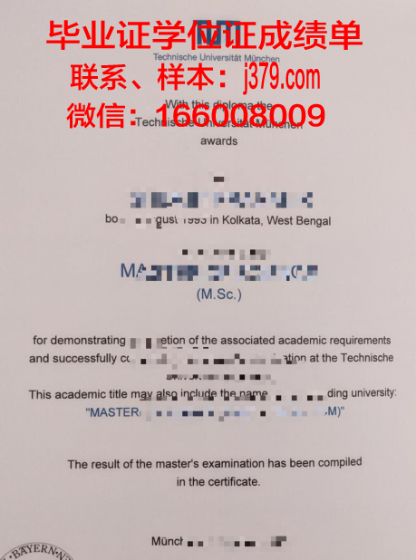 慕尼黑工业大学毕业证书什么颜色(慕尼黑工业大学毕业证书什么颜色可以用)