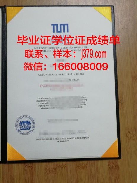 慕尼黑工业大学毕业证照片(慕尼黑工业大学本科毕业率)