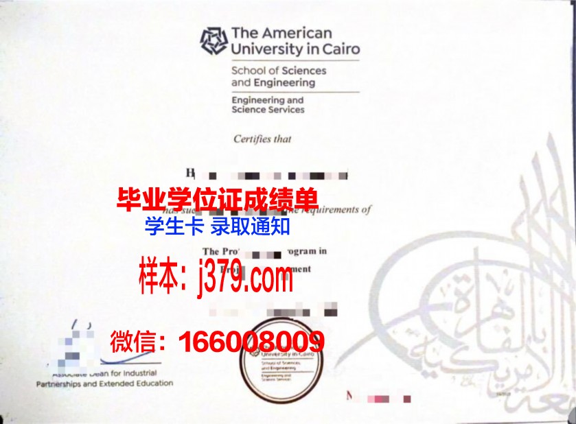 开罗大学读多久才毕业证(开罗大学读多久才毕业证啊)