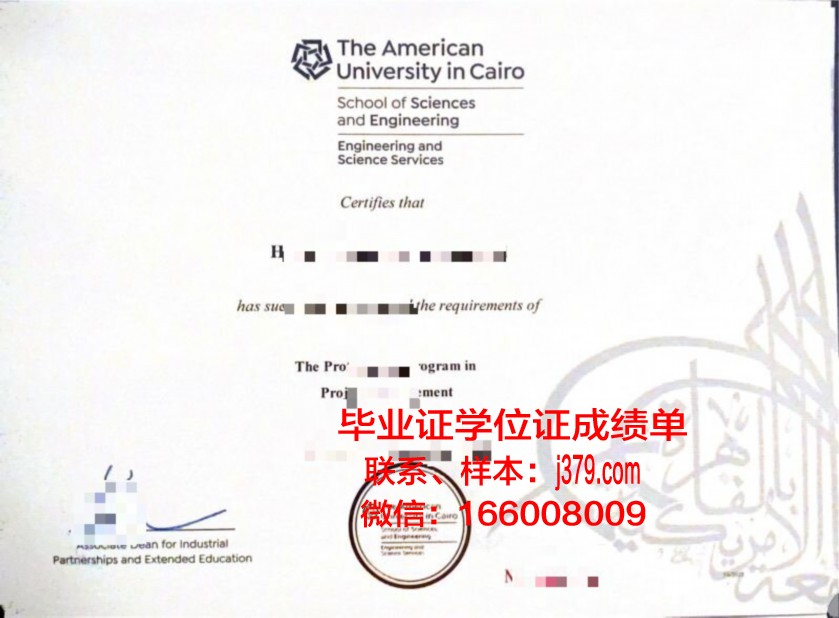 开罗大学毕业学位证有用吗(开罗大学怎么样)