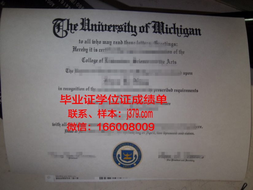 康斯坦丁门托里兄弟第一大学毕业证案例(康斯坦丁托恩)