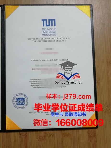 慕尼黑大学毕业证案例(慕尼黑大学毕业典礼)