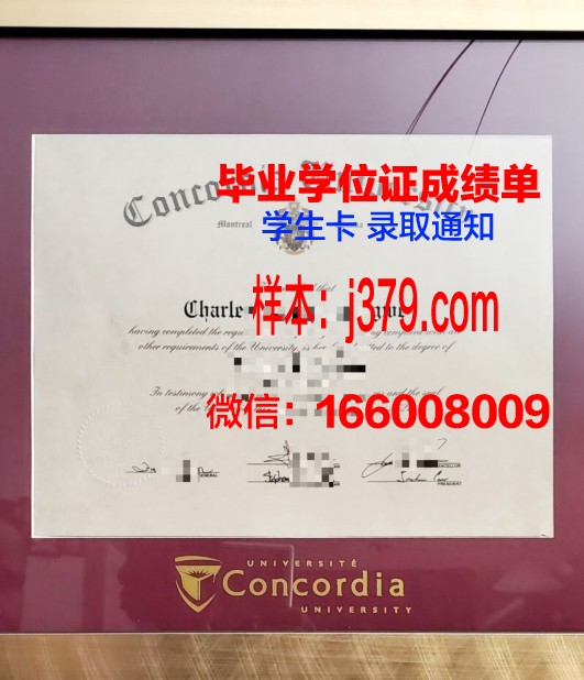 康考迪亚大学diploma证书(康考迪亚大学是英语授课吗)