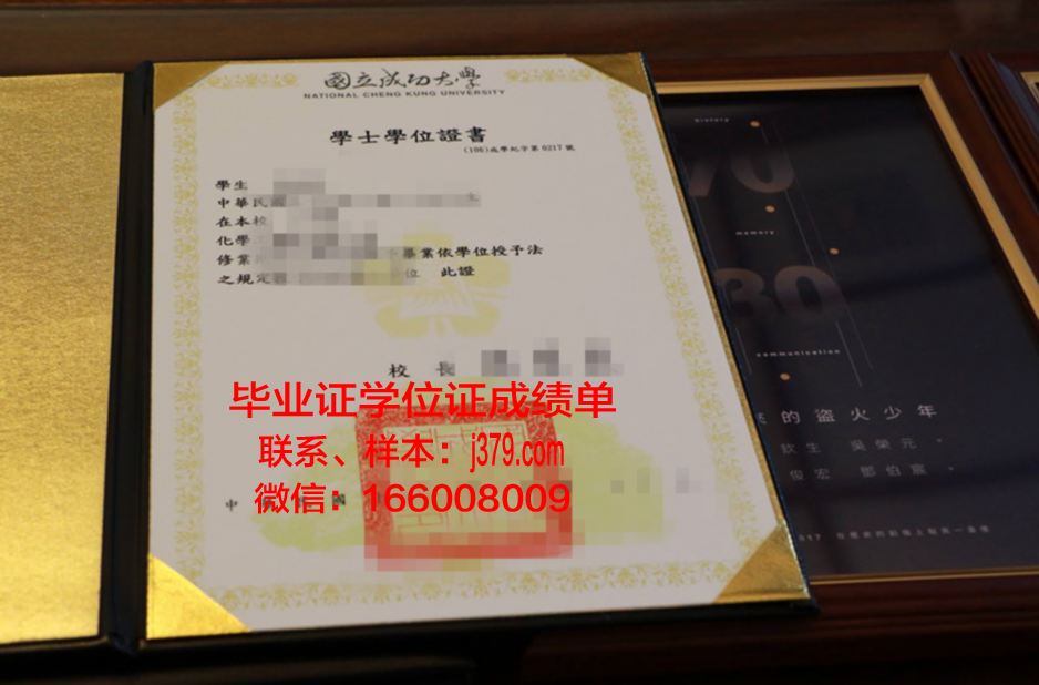 成功大学毕业证图片:一张纸背后的故事与价值