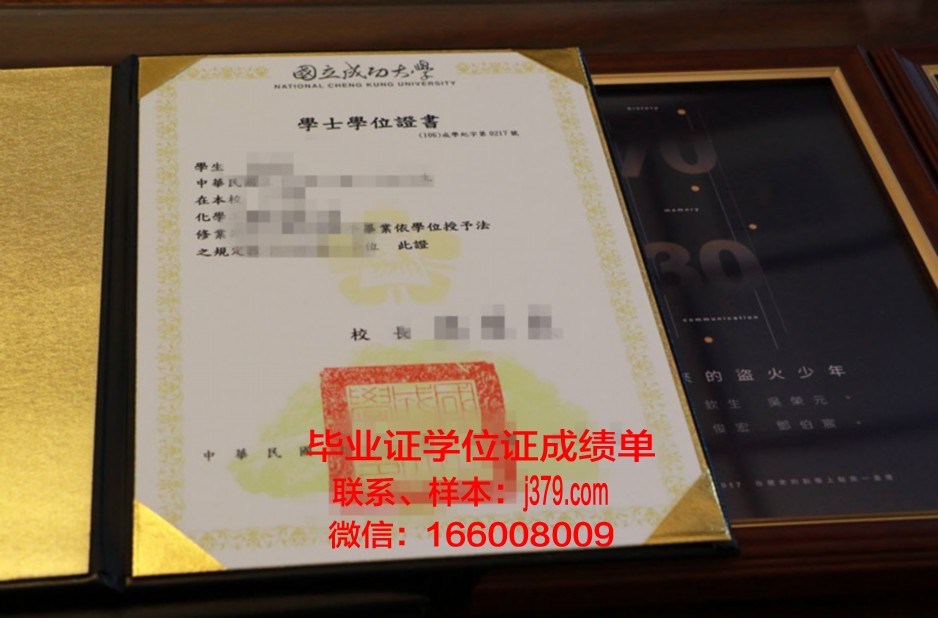 成功大学成绩单:解锁未来之路的金钥匙