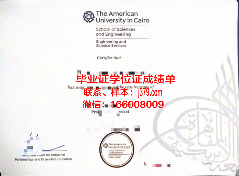 开罗美国大学毕业证图片(开罗美国大学世界排名)