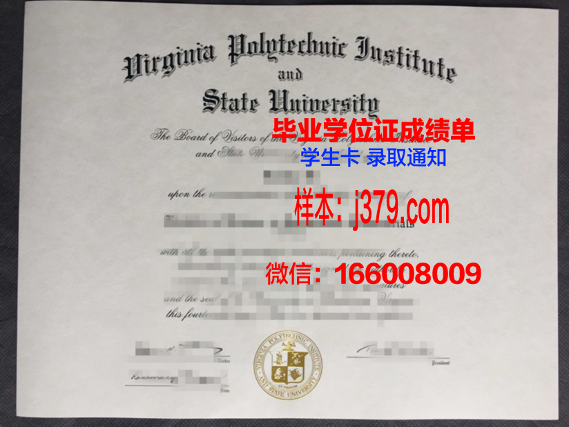 弗吉尼亚大学成绩单:学术卓越的见证