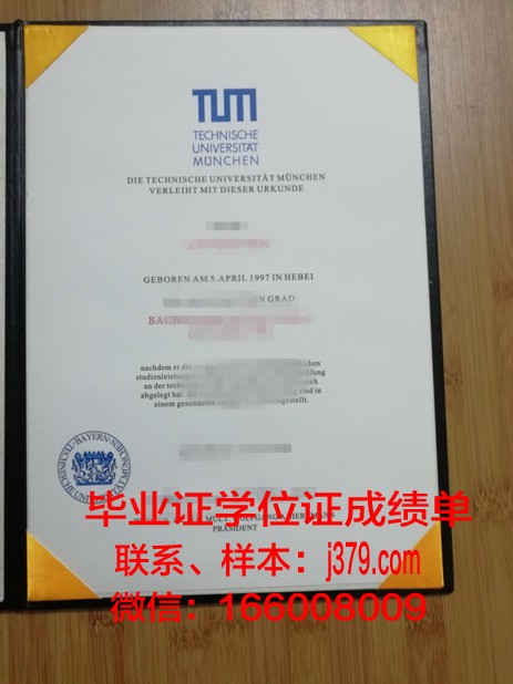 慕尼黑音乐和戏剧学院毕业证外壳(慕尼黑大学戏剧)