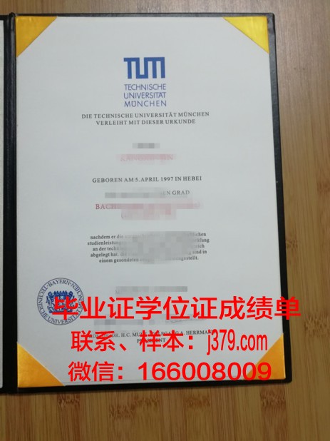 慕尼黑大学毕业证书几月份拿到(慕尼黑大学几年毕业)