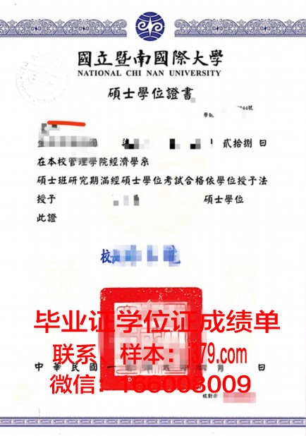 开罗本科学位证:通往非洲高等教育的大门