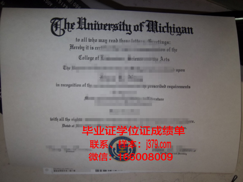 戈亚斯联邦大学毕业证图片