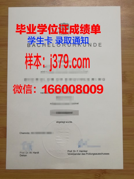开姆尼茨工业大学毕业证翻译(开姆尼茨技术大学)